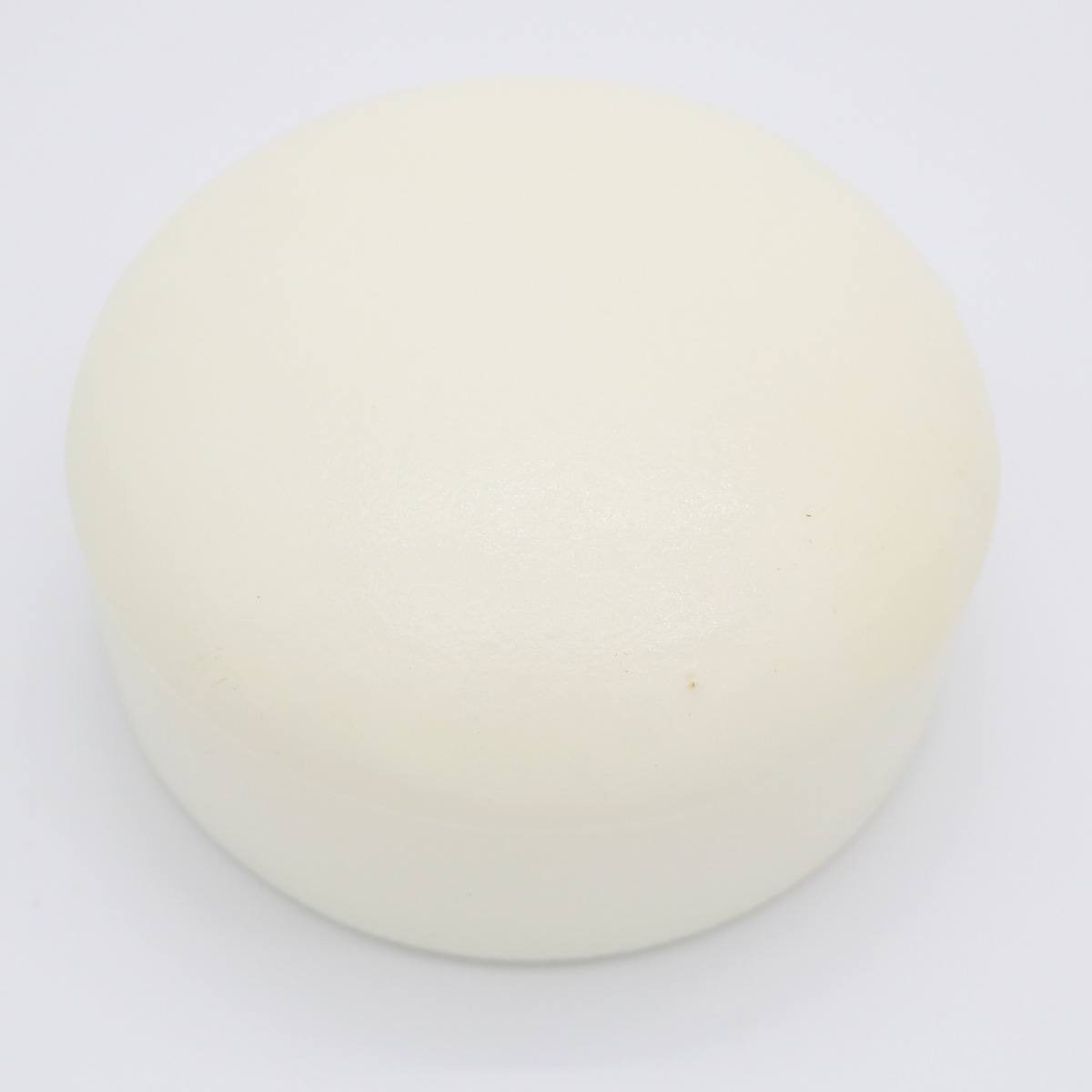 Mozzarella Cheese Wheel Semi Slow Rising Squishy