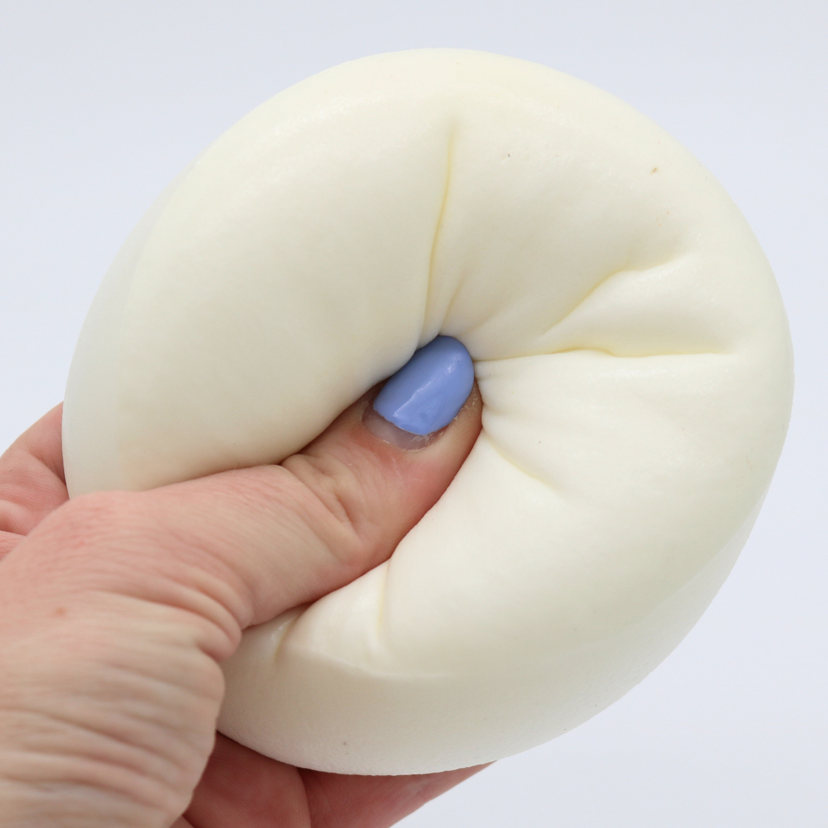 Mozzarella Cheese Wheel Semi Slow Rising Squishy