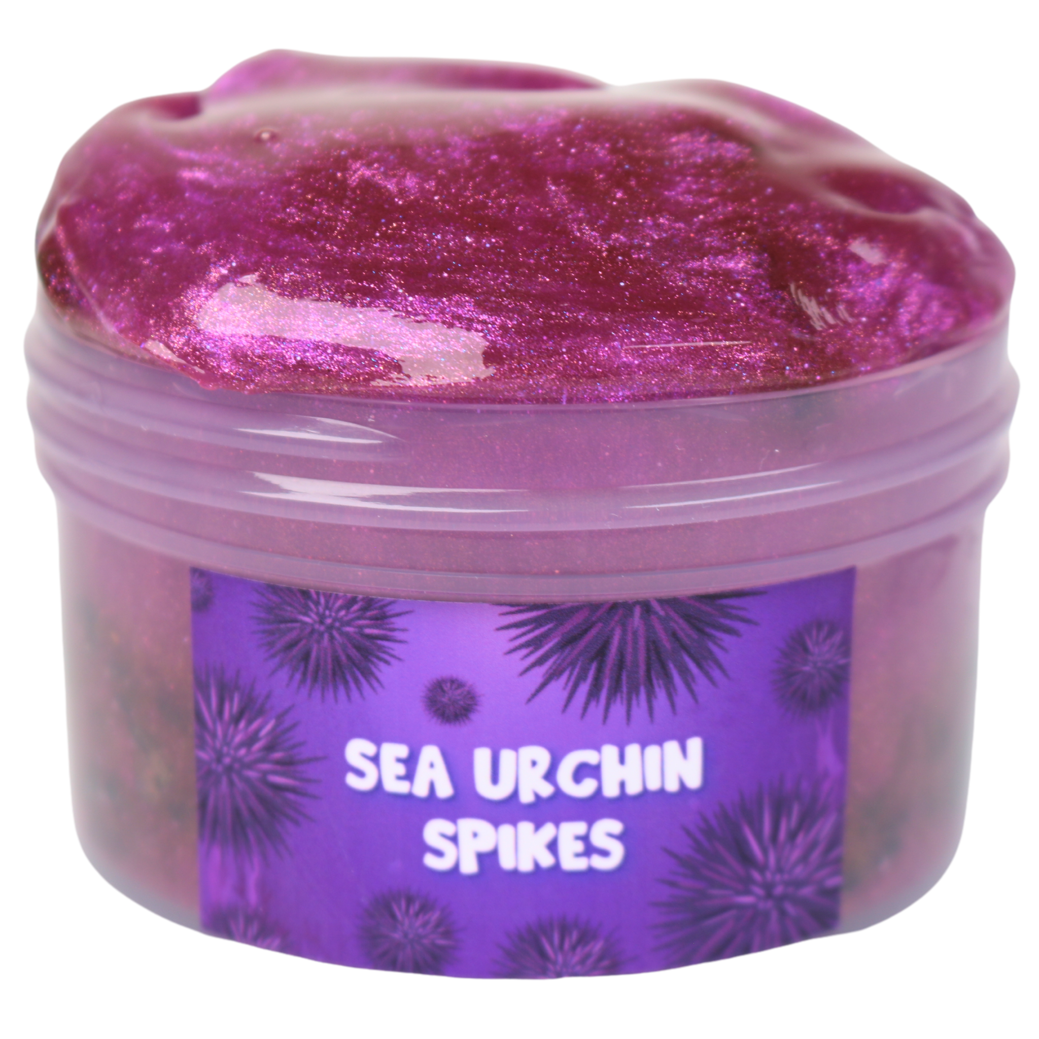 Sea Urchin Spikes